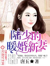 陆少的暖婚新妻短剧免费全集