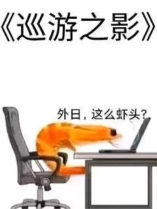 巡游者带什么技能