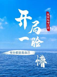 从亮剑开始打卡无弹窗