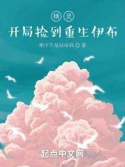 精灵开局创造杰尼龟笔趣阁